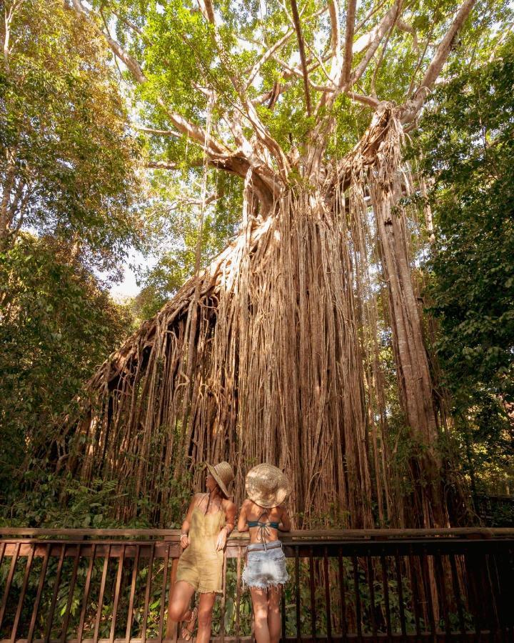 Coral Tree Inn Cairns Eksteriør bilde