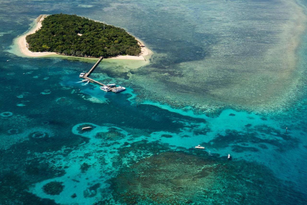 Coral Tree Inn Cairns Eksteriør bilde