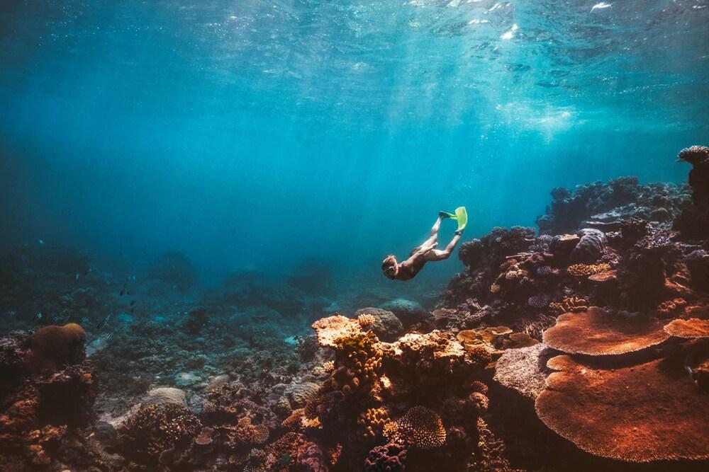 Coral Tree Inn Cairns Eksteriør bilde